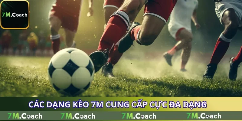 Các dạng kèo 7M cung cấp cực đa dạng