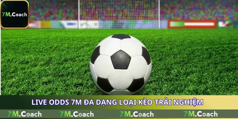 Live Odds 7M đa dạng loại kèo trải nghiệm Live Odds 7M đa dạng loại kèo trải nghiệm