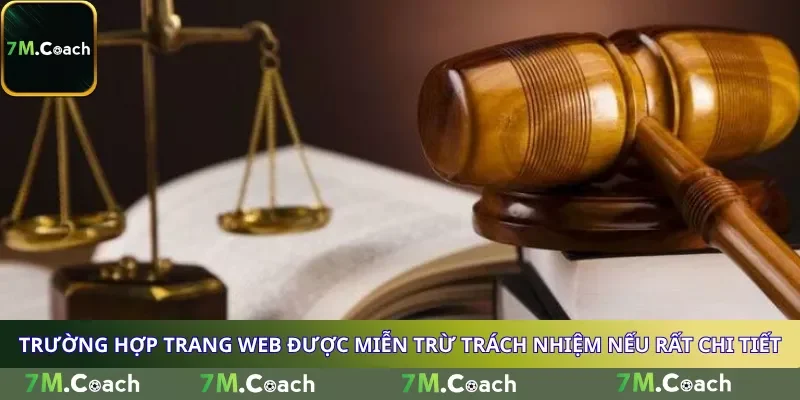 Trường hợp trang web được miễn trừ trách nhiệm nếu rất chi tiết