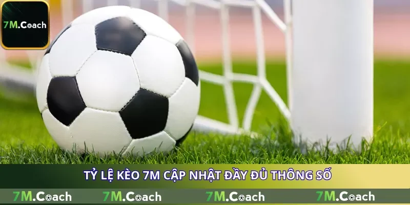 Tỷ lệ kèo 7M cập nhật đầy đủ thông số