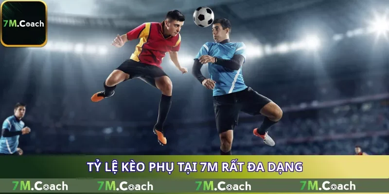 Tỷ lệ kèo phụ tại 7M rất đa dạng
